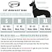 Weich Neopren Gepolstert Hundehalsband (4cm Breite) Reflektierend Hund Halsband mit Robust Nylon & Zugstopp, Bequem Zughalsband Dressurhalsband für Kleine Mittlere Große Hunde Anti-Zug Walken M,Grau