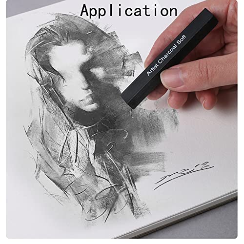 BLLNDX Compressed Charcoal Rod 6PCS Soft, Medium and Hard Grade Vine Square Willow Charcoal Sticks for Drawing, Sketching, Shading, Art Supplies Sketch Kits Tools Carbon Strip