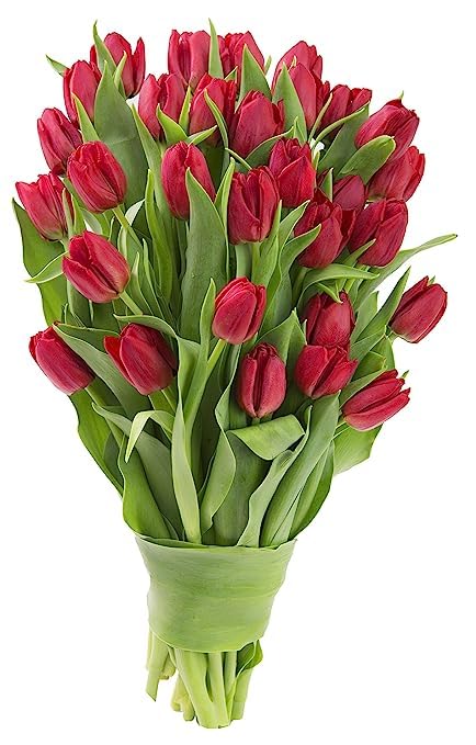 Image of KaBloom-30 Red Tulip Bouquet,Flowers for Valentine, Mother's Day
