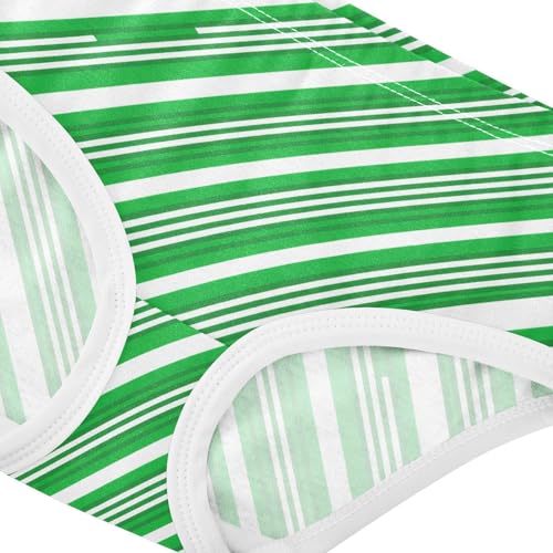Green White Stripe Toddler Girls's Underwear 2T 23008934