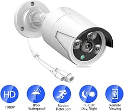 QLPP Security Surveillance Detection Compression QLPP Security Surveillance Detection Compression