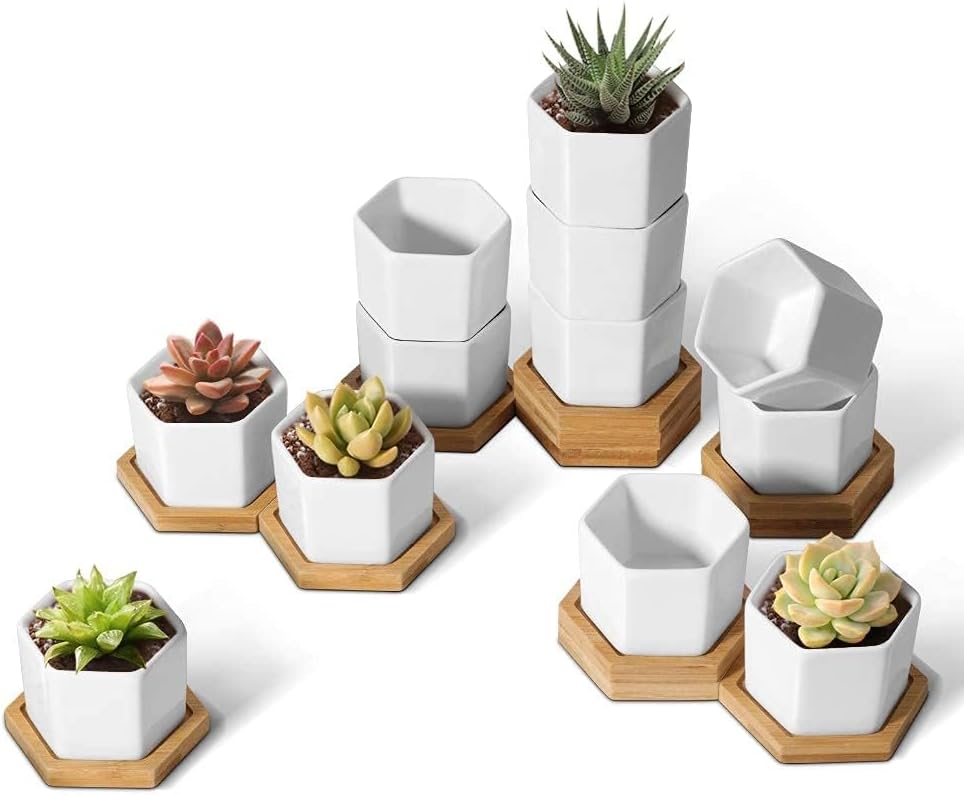 Mini White Succulent Planter Pots with Bamboo Tray Hexagon Set of 12,Tiny Geometric Ceramic Cactus Plant Holder, Plant Gifts for Gardener Women Coworker, Home Office Table Desk Decoration