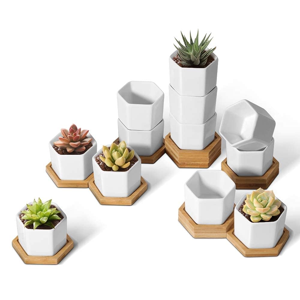 T4U Mini White Succulent Planter Pots with Bamboo Tray Hexagon Set of 12,Tiny Geometric Ceramic Cactus Plant Holder, Plant Gifts for Gardener Women Coworker, Home Office Table Desk Decoration