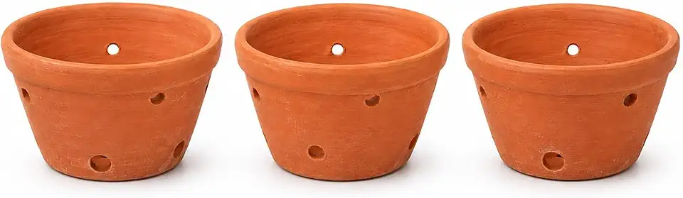 Kit 3 Vasos de Barro para Orquídeas 13 cm x 8 cm com Furos Laterais para Ventilação e Drenagem | Terracota Natural Artesanal | Ideal para Cattleya, Phalaenopsis e Plantas Ornamentais