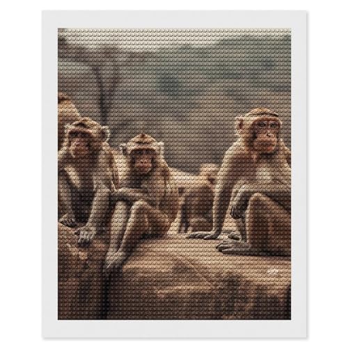 Kits d'art diamant pour adultes singe anti stress peinture diamant complet pour deco interieure