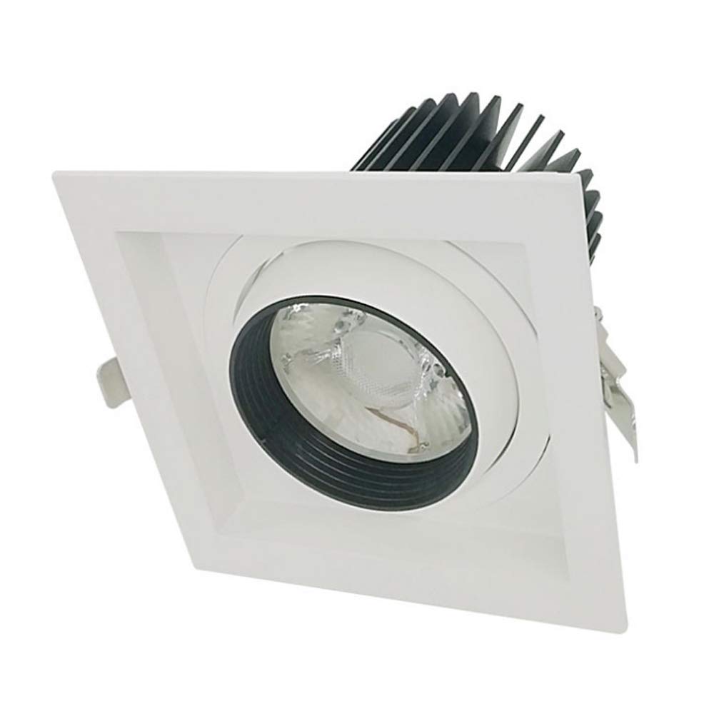 YNBSHGAA Recessed Adjustable Light Recessed Downlight IP40 Waterproof Home Illumination Angle Adjustable Led Recessed Ceiling Lights for Kitchen CRI90 COB Recessed Spot Light Inte,0-4000K-12W