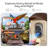 Zoom IMG-2 loirepint mangiatoia intelligente per uccelli Zoom IMG-2 loirepint mangiatoia intelligente per uccelli