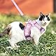 Brifit Katzengeschirr, Katzen Geschirrset Ausbruchsicher mit Reflektierenden Streifen, Verstellbar Cat Harness mit Leine 150cm, Katzen Geschirr für Kleine Kitten Hunde [Rosa XXS] für 2-3kg Pet