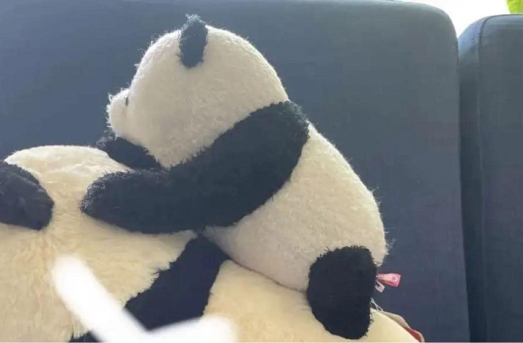 Amazon.co.jp: 上野動物園 香香 パンダぬいぐるみ 小さいシャンシャン