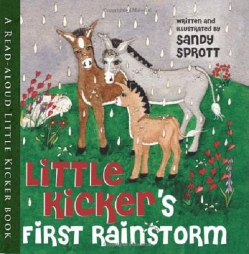 Little Kicker's First Rain Storm 0984395628 Book Cover