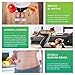Garcinia Cambogia + L-Carnitina + Té Verde. Reductor del apetito, quemagrasas natural,...