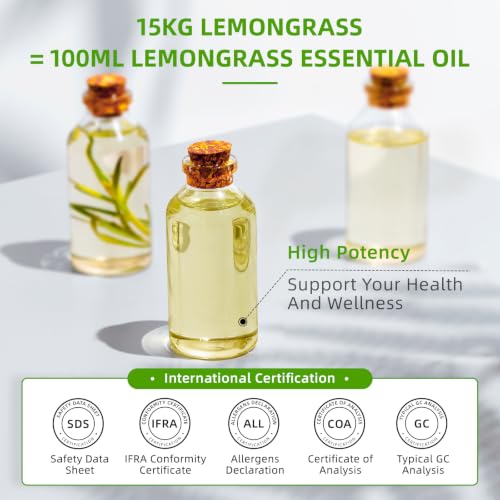 Image of HIQILI Lemongrass Essential Oil Large Capacity for Body Massage | Crisp Herb Scent for Diffuser, DIY Blends, SPA, Scent Spray, Skin Blends, Shampoo & Lotion - 1000 mL / 32 fl oz