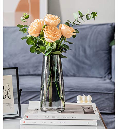 Yuuming Glass Vase, 22cm Translucent Plant Flower Vase Ins Style Decorative Floral Bud Container for Home Office (Transparent Gray)