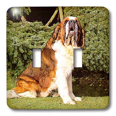 Interruptor doble Saint Bernard 3dRose lsp_501_2 con diseño de perro para pared 3