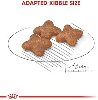 Royal Canin Mini Adult Pellet Dog Food, Meat Flavour, 2 KG