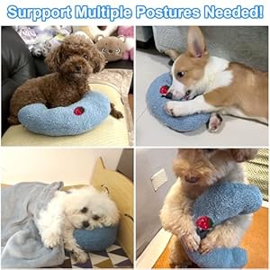 Mity-rain-Dog-Pillow-Anxiety-Relief-Pillow-for-Dog-Ultra-Soft-High-Density-Calming-Pillow-for-Joint-Relief-Sleeping-Improve-Pet-Calming-Toy - Cucciolini Doodles   Mity-rain-Dog-Pillow-Anxiety-Relief-Pillow-for-Dog-Ultra-Soft-High-Density-Calming-Pillow-for-Joint-Relief-Sleeping-Improve-Pet-Calming-Toy