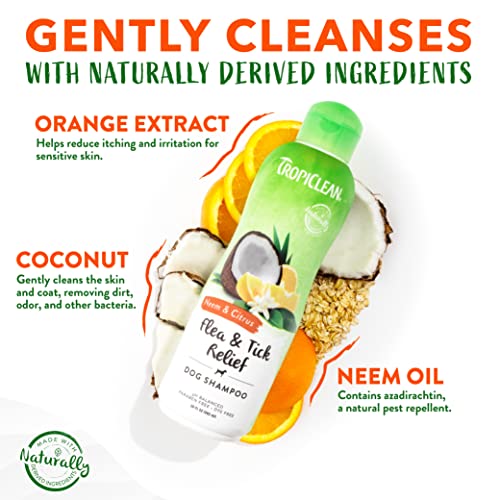 Tropiclean Citrus & Neem Oil Flea Shampoo For Dogs | Tick And Flea Bite Relief For Dogs | Natural Dog Shampoo Derived From Natural Ingredients | Made In The Usa | 1 Gallon #TOP3