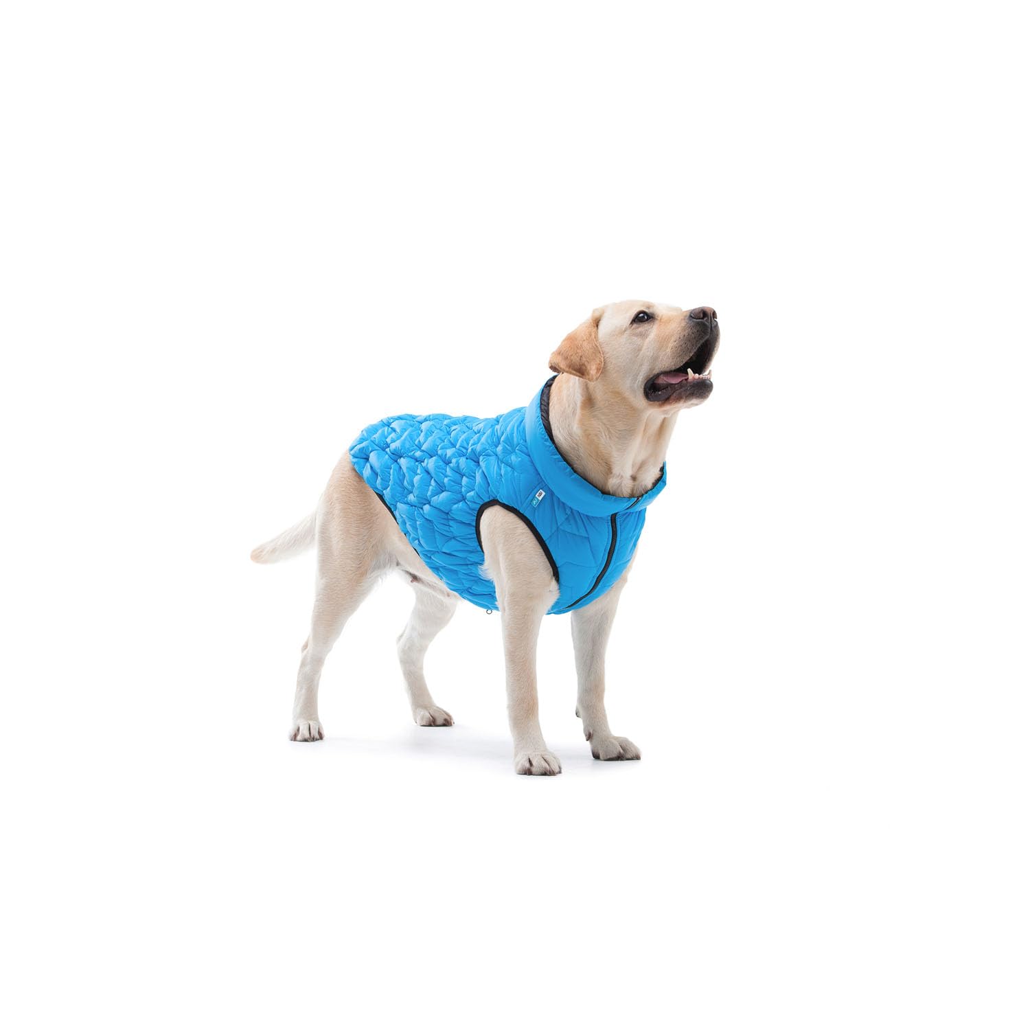 AiryVest, chaqueta flexible para perros con bolsillo, resistente al agua, abrigo para perros, impermeable, azul, XS – 28 x 41 x 27 cm