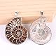 BOBEINI Natürlicher Ammonit Fossil Anhänger Schmuck Ton Silber Ammonit Fossil Stein umwickelt Anhänger Halskette Modeschmuck, Silber