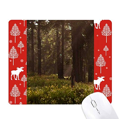 Souris de Noël paysage sombre contre la fatigue de bureau