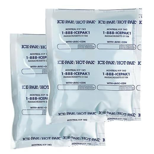 Can i take an ice pack in hand luggage Cryopak Reusable Gel Ice Packs
