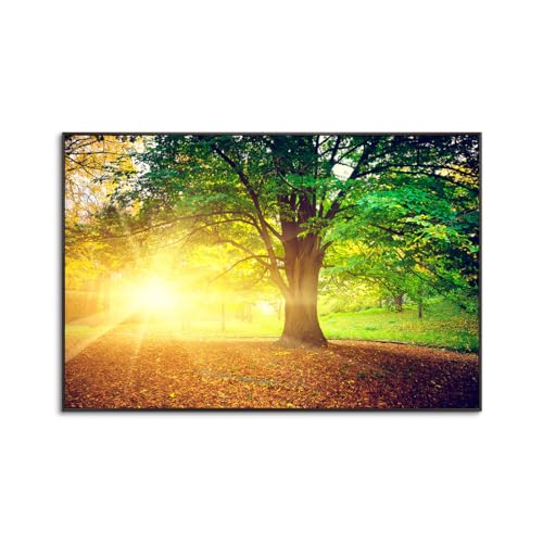 森林 アートパネル 太陽 ポスター 風景写真 木の絵 インテリア 日光 森の風景 絵 玄関 お風呂 開運 装飾画 アルミ合金フレーム (E,50x70cm(20x28in))