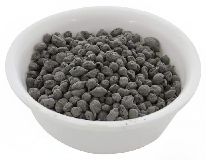 Rajasthani Dried sangari wale Homemade (Dry Capers) Free Recipe on Pack Free Recipe on Pack, Sangari | Premium and Authentic -100 gm