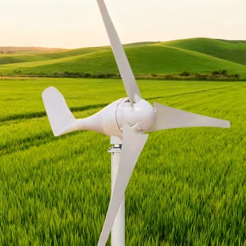 ̓^[r 1kW/2kW/3kW 12/24V 3u[h͔d@ hRg[[t ᕗ2.0m/sn ƒpA_ARVA{[gp(2kw,12v)