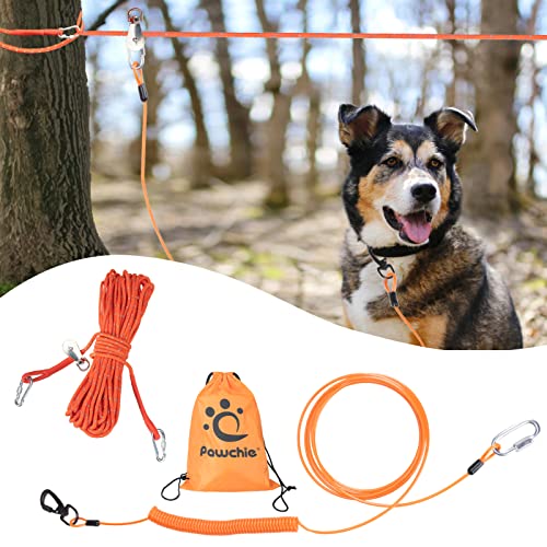 Amazon Best Sellers Best Dog TieOuts & Stakes