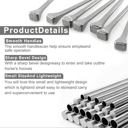 Image of Steel 2.1 inch Horseshoe Nails E6 Horseshoe Nails Box of 250pcs | Stainless Steel Nail-Horse Hoof Training Supplies Tool for Securing Firmly