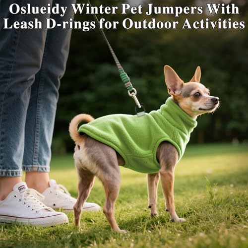 Oslueidy Hundemantel Fleece Hunde Jacken Hund warme Mäntel Winter Haustier Kleidung Hoodies Pullover Jumpsuit Hund Schnee Outfits Weste für kleine mittlere große Hunde XS-XXL (Grün, S)