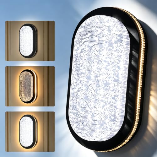 Plafonnier LED Ovale 20W Pack de 2 Lampe Étanche IP54 pour Cave et Garage