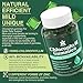 Chlorophyll Gummies - Super Green with Wheat Grass, Sea Moss, Unfiltered ACV & Elderberry, Echinacea, Zinc Complex & Vitamin D3, C, E, B12 for Natural Deodorant, Immune & Digestion Support, 60 Chews