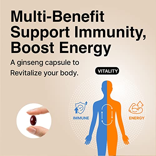 CheongKwanJang-Korean-Red-Ginseng-Extract-Capsules-Plus-All-in-1-Focus-Pills-for-Men-Women-Natural-Energy-SupplementsCirculation-Immune-Support-Brain-Booster-30-Capsules