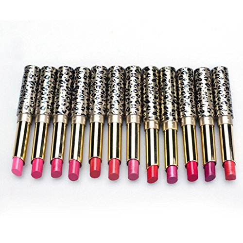 Ularmo 2016 New Hot 12pcs/lot Lipsticks Lip Stain The Balm Makeup Lot Leopard Moisturizing Lip Stick Setipbrush (C)
