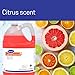Diversey Stride Neutral Cleaner, Fresh Citrus