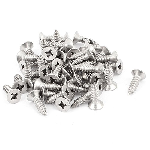 Tornillo autorroscante Phillips cabeza plana 5.5mm 50 uds