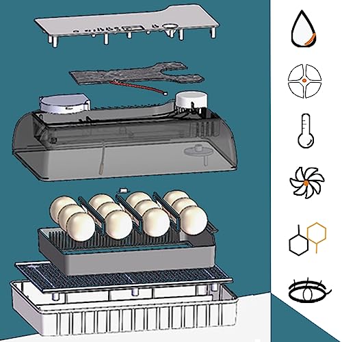 SSZYace 12-35 Egg Incubator, Incubators for Hatching Eggs with Automatic Turner, Egg Candler and Temperature Display, for Chicks, Quails, Ducks, Small Poultry
