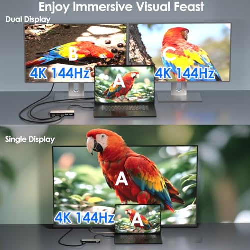 Thunderbolt 4 Docking Station Dual Monitor