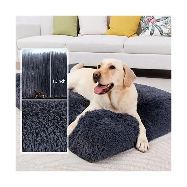 CHAMPETS-Washable-Dog-Bed-for-Crate-35X23Large-Dog-Bed-Washable-for-SmallMediumLargeExtra-Large-Dogs-Cats-PetWaterproof-Dog-Beds-for-Large-Dogs-with-Washable-CoverCrate-Pet-Bed-for-Large-Dogs CHAMPETS-Washable-Dog-Bed-for-Crate-35X23Large-Dog-Bed-Washable-for-SmallMediumLargeExtra-Large-Dogs-Cats-PetWaterproof-Dog-Beds-for-Large-Dogs-with-Washable-CoverCrate-Pet-Bed-for-Large-Dogs