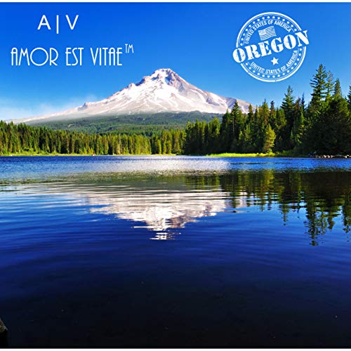 Faith T-Shirts | Christian T-Shirts| Casual Short Sleeve Graphic Tops (Blue_Stars Meant To Worship, Large) #TOP5