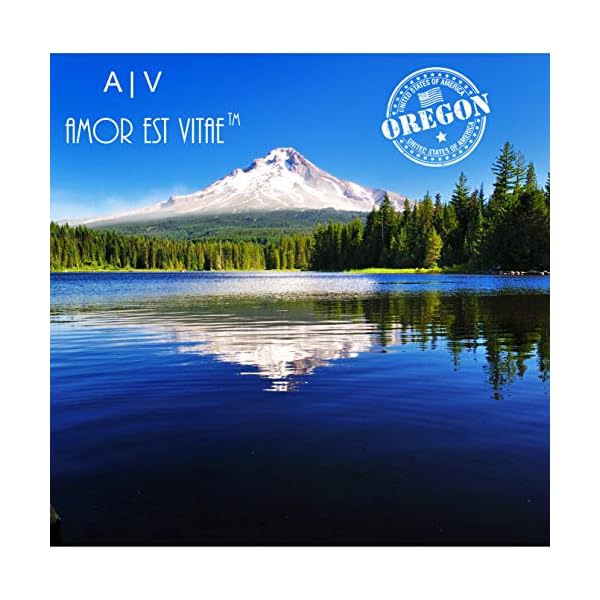 A V AMOR EST VITAE Christian T Shirts | Womens Christian Shirt | Christian Tees | The Lord is My Strength and My Song (Black Lord is My Strength, X Large)