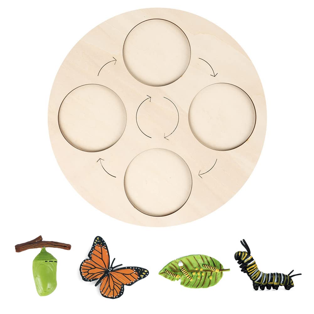 Buy Butterfly Growth Cycle,Butterfly Life Cycle Figurines Kit with