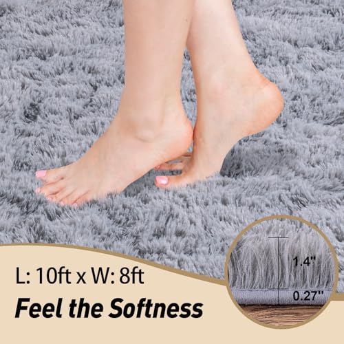 8x10 Area Rugs for Living Room, Large Fluffy Rugs for Bedroom, Soft Carpet Shag Kids Room Rug, Non-Slip Fuzzy Rugs Indoor (Light Grey, 8ft x 10ft)