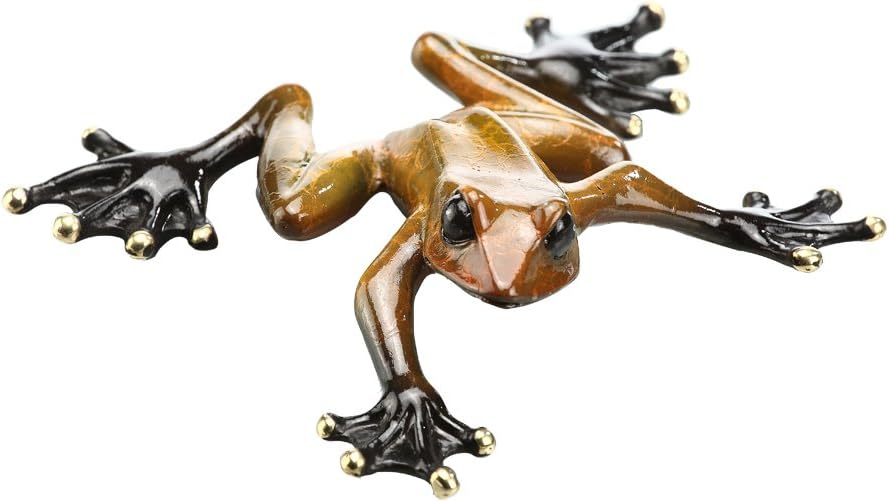 Anecdotal Aardvark Rainforest Frog