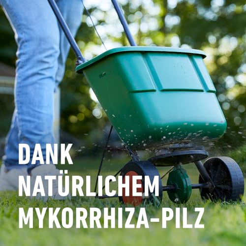 COMPO Turbo-Rasendünger - leistungsstarker Rasendünger für alle Rasenflächen - für schnelle Ergebnisse - 5 kg für 130 m²