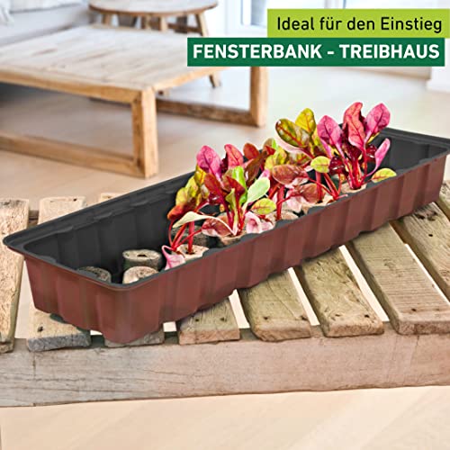 Windhager Zimmer-Gewächshaus, Fensterbank-Treibhaus inklusiv 30 Anzuchttöpfen, terracotta / anthrazit, 16,5 x 54,4 x 12 cm, 06840