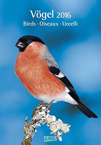 Vögel 2016 Vögel 2016