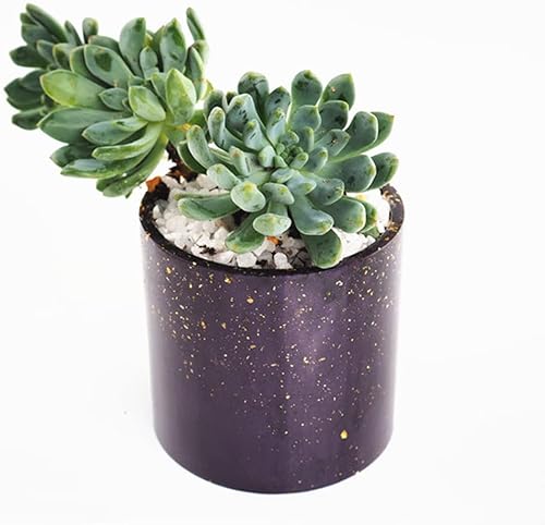 Miniatura 4 de Molde redondo de resina para maceta, molde de resina cilíndrica de silicona, para bricolaje, macetas de jardinería, manualidades, decoración del