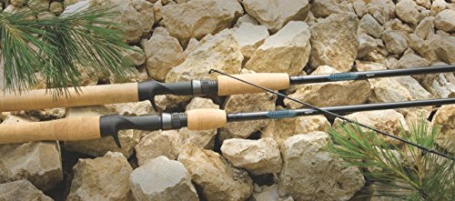 St. Croix Rods Avid Series Casting Rod